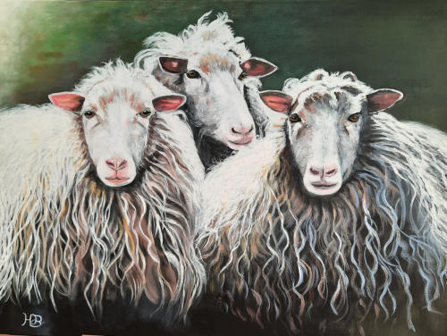 schapen 2023  acryl 60 x 80cm